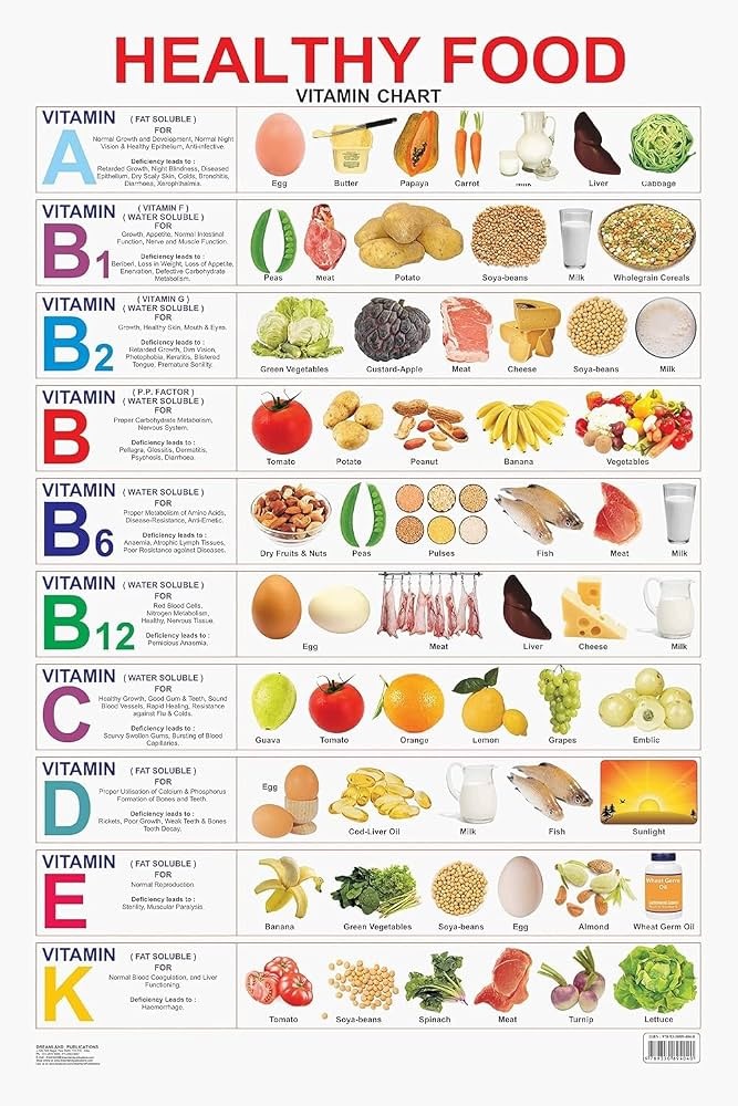 vitamin-food-sources-chart-immune-support Chart of foods rich in vitamins A, B, C, D, E, and K, like eggs, citrus, fish, leafy greens, and milk, for immune support